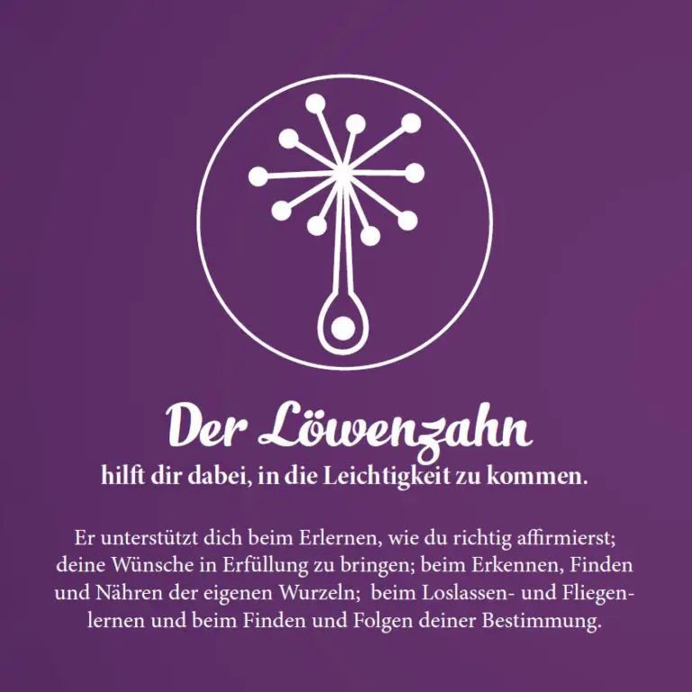 Energiezeichen Löwenzahn